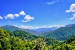 初夏の山